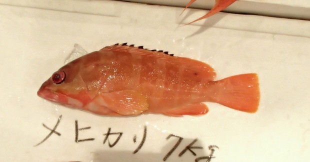 アカハタ 沖縄海人魚市場